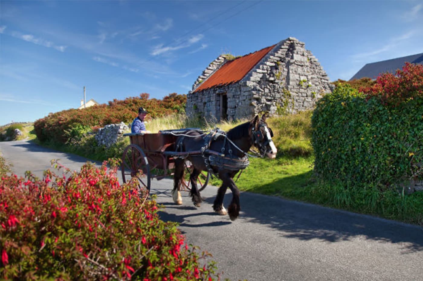 The Aran Islands — photo 1
