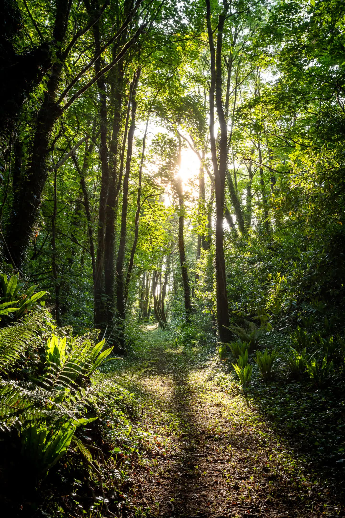 Hiking & Walking — photo 3